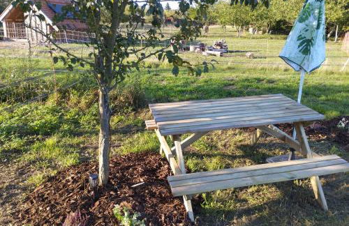 DDR Wohnwagen QEK AERO - Photo 5