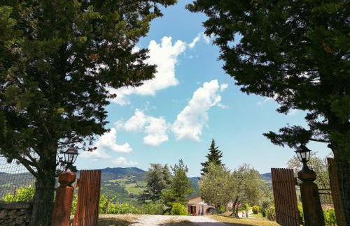 Tenuta il Poggetto - Foto 8