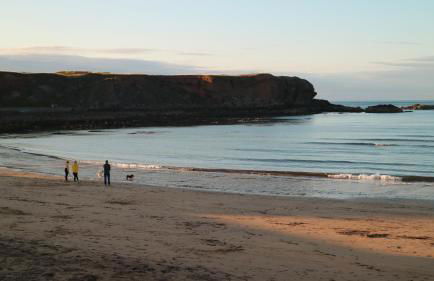 The Old Legion - Photo 9