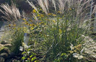 Drewniany Domek w Zakątku Andrzeje Śniczany 18 - Photo 62