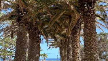 Quinta do Ribeiro Salgado's Beach House - Foto 3