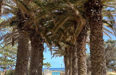 Quinta do Ribeiro Salgado's Beach House - Foto 3