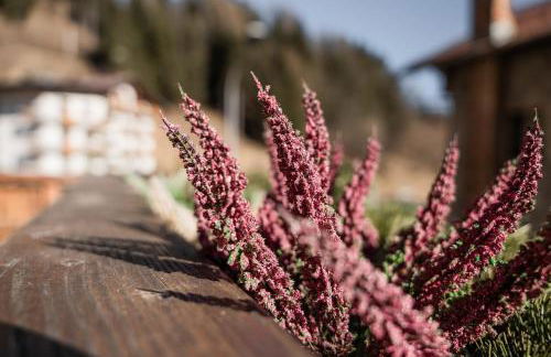 Ciasa Delfa - Dolomiti - Foto 10