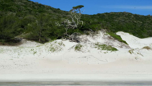 Arraial do Cabo Boat Trip - Photo 5