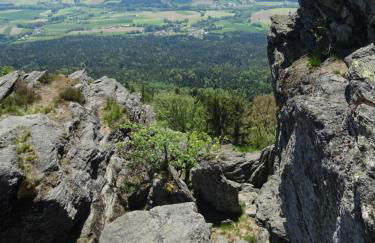 Ferienappartement Gutshof - Photo 21