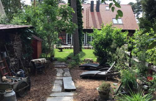 Welsh Dragon - Foto 22