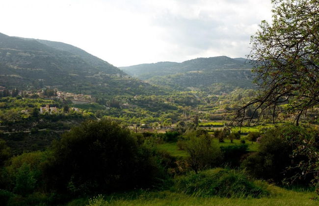 Old Olive Mill House - Foto 25