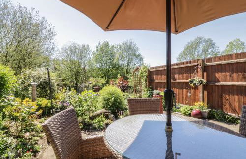 Kingfisher - Foto 19