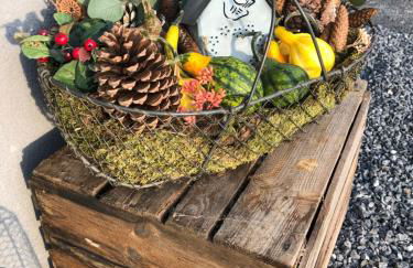 O bois dormant - Foto 40