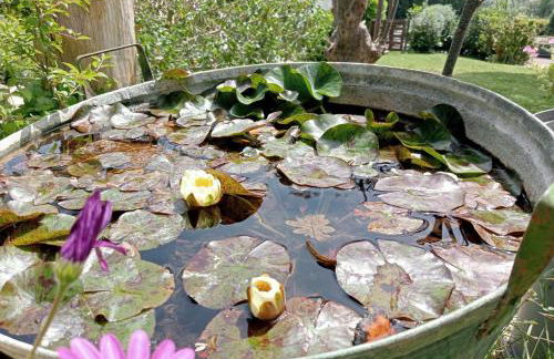 Agriturismo Ponterosa - Foto 88