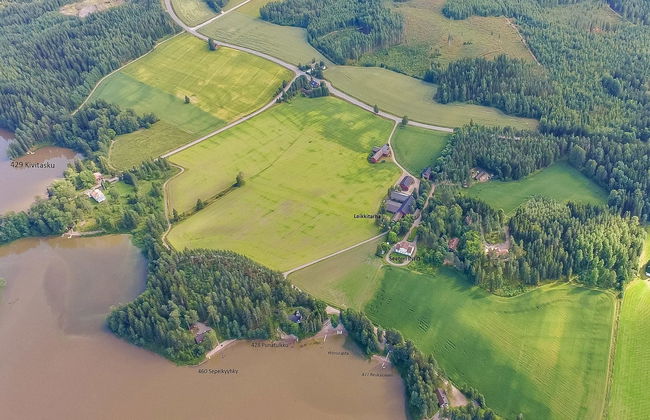 Peltosirkku - Foto 2