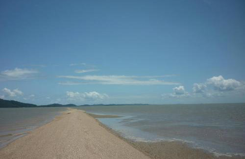 Abelha & Peixe Boi - Photo 16