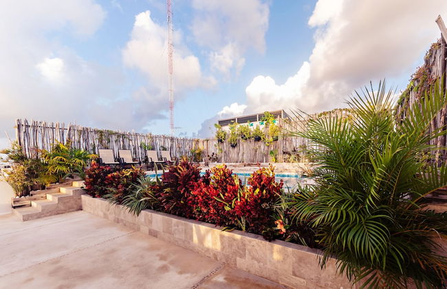 Mararena Condominios - Photo 31