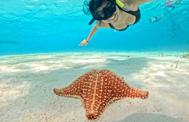 Casa Mora Alberca Privada de Playa - Photo 15