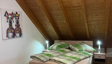Ferienwohnung Zentral in Lörrach - KONUS Gästekarte inklusive - Foto 1