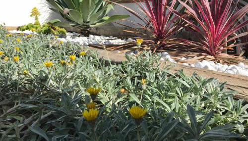 Dimora Ammare - Foto 2, Garden