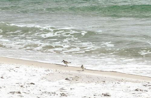 Emerald Gem Beach Svc Included - Foto 68