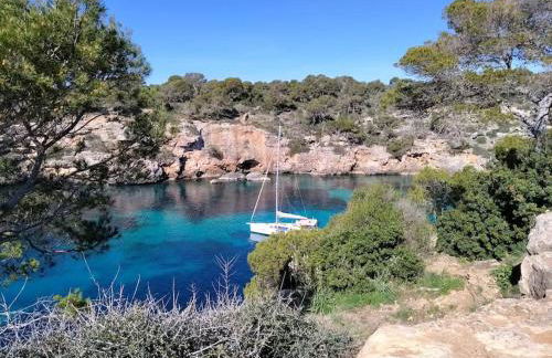 Apartamento Mar & Pins - Foto 14