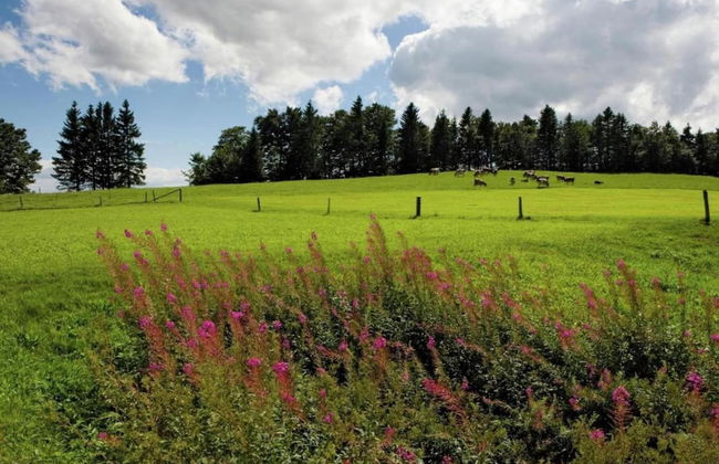 Romantic Stay in Saint-quirin - Foto 32