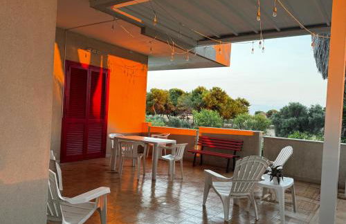 WalMarhouse - Foto 8