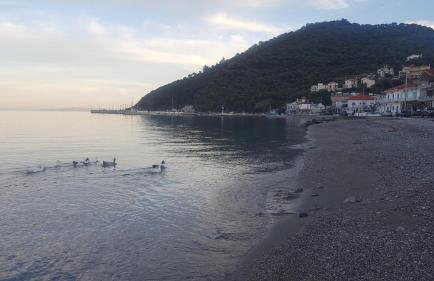 Antony's Apartment Sea View - Foto 28