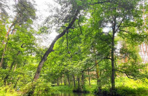 VILLA SUNSHINE "SILVER SUITE" nad JEZIOREM WIELE PRZESTRZENI ZA NISKĄ CENĘ - Foto 15