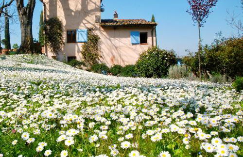 Appartamento con terrazza privata e giardino vicino a Pisa e Firenze - Foto 39
