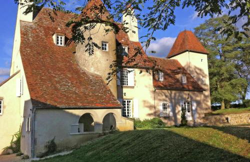Castle in Le Veurdre near Forest and River - Foto 1