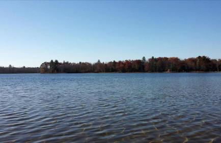 Rustic Cabin on the Shores of Pine Lake, Michigan - Foto 5