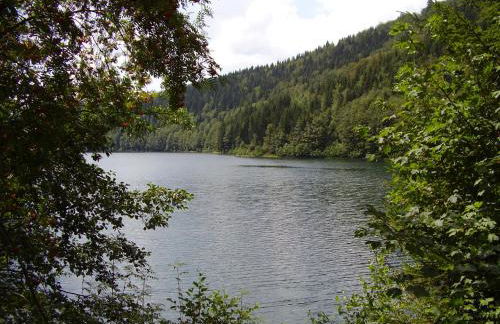 Ferienwohnung Reifberg - Photo 36