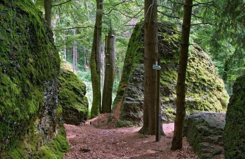 Ferienwohnung "An den Kurwiesen" - Foto 16
