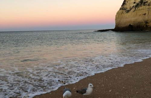 Casa Perola -ocean view cottage - Foto 24