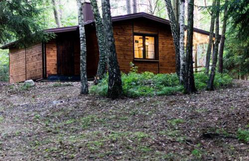 Sosnowy Strumyk - Foto 41