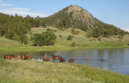 lake guest ranch - Foto 15