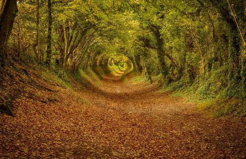 Sidlesham Hideaway Logburner & Garden - Photo 36