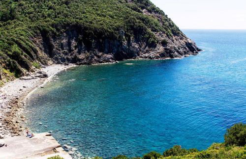 L' Elicriso - Photo 21