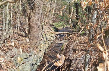 Ferienwohnung Maison Confortable mit Sonnenterrasse und Garten, Bad Ems, Koblenz, Montabaur, Wandern, Radfahren, Mountanbiketouren - Photo 21