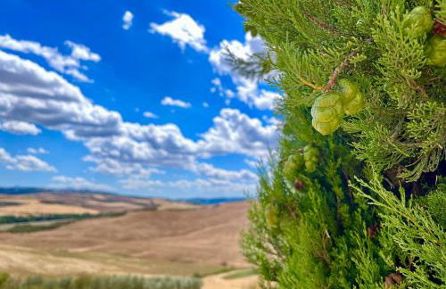 Poggiosalto in Toscana - Foto 63