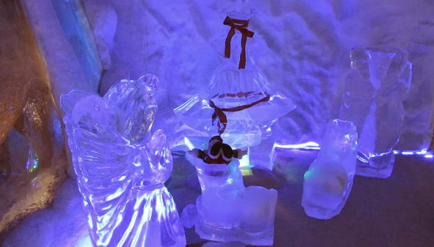 Ingresso do parque Mundo Gelado do Capitão - Foto 3