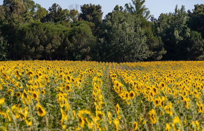 Villaggio Mare Verde - Photo 63