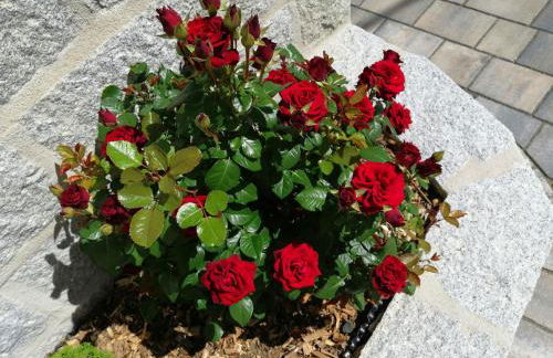 Ferienhaus Wagnerhof - Foto 35