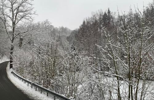 Ferienhaus Andrea am Bodetal - Foto 24