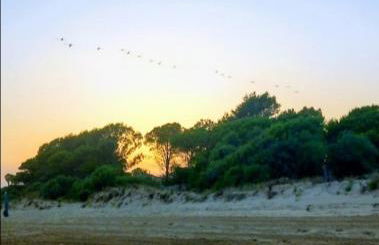 Villa Serena - Foto 14