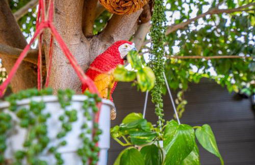 Ke Casetta Tenerife Salvador and Santiago apartments - Foto 62