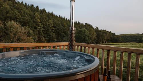 Woolly Wood Cabins - Nant - Foto 2