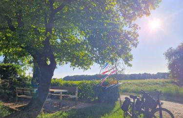 Eulennest Emsland - Foto 19