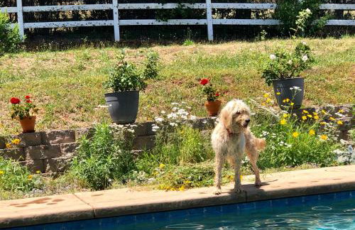 Amazing Loft on Horse Ranch - Foto 53