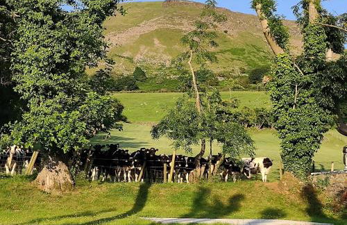 Ballymakeever Appartment - Private Hot Tub - Foto 33