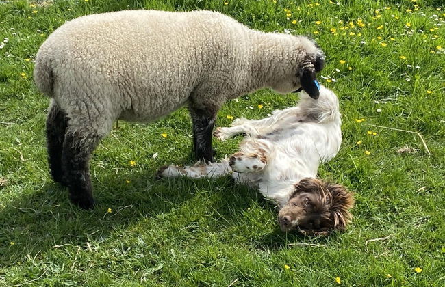 Inviting 2 bed Camper in Holyhead - Photo 11