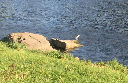 Prima Klima Villa - Ferienwohnung Steinbrecher - Foto 9